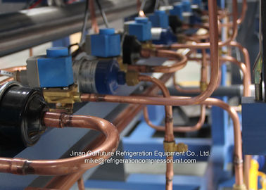Gamme complète à piston de condensation d'unité de réfrigération d'air commercial d'unité